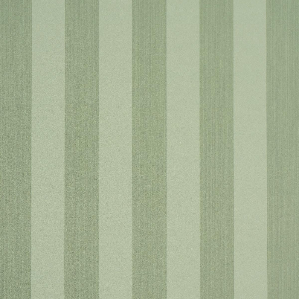 Edwin Stripe Medium | Sage