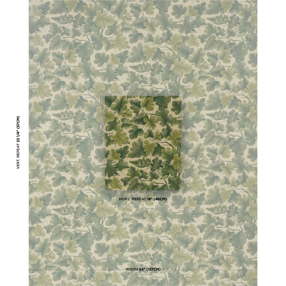 EDINBURGH VINE | Forest