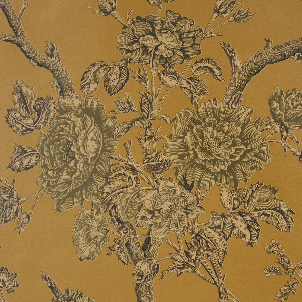 Inverness Garden | Document