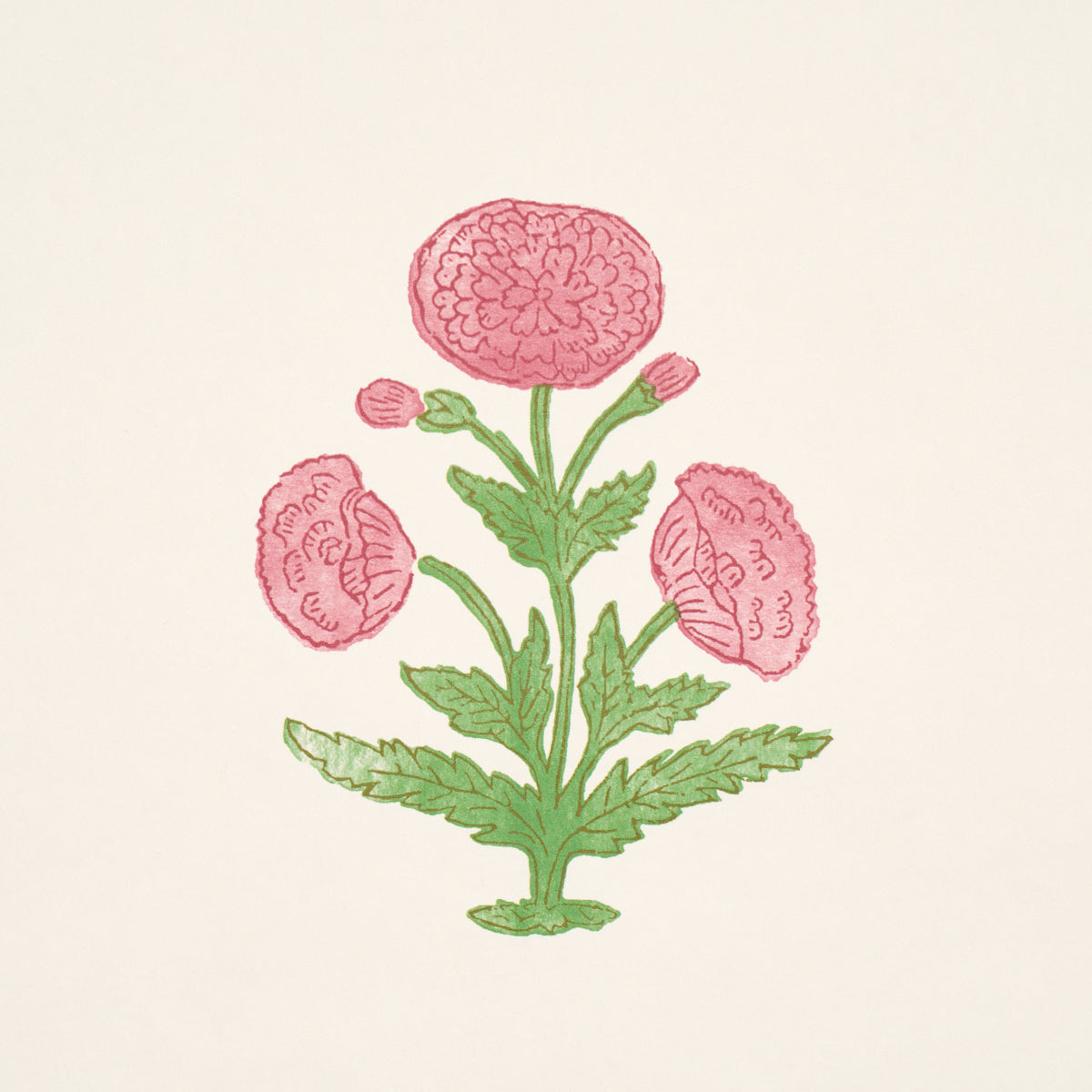 POPPY PRINT | Rose & Grass
