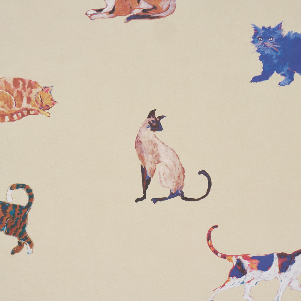 Cats | Cream