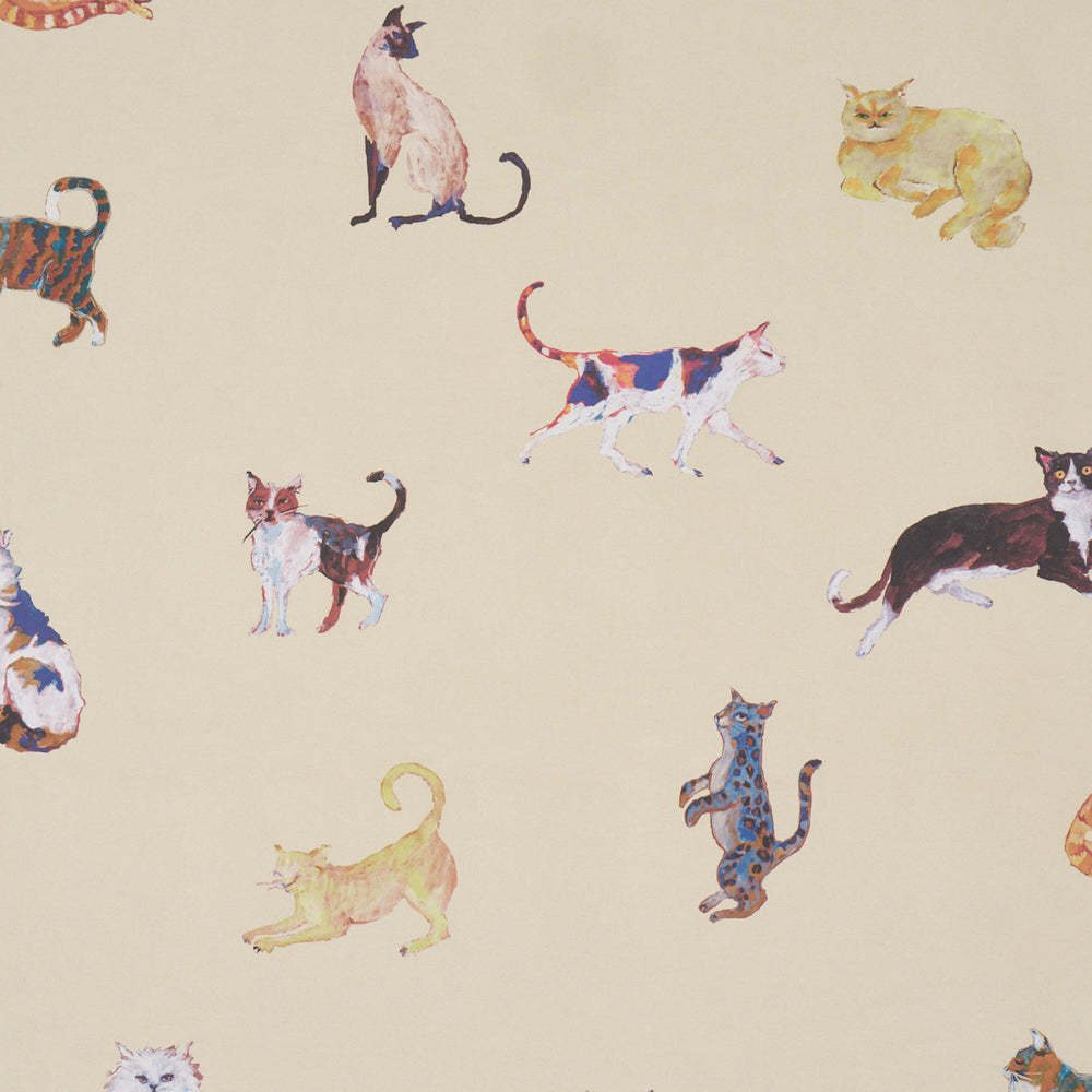 Cats | Cream