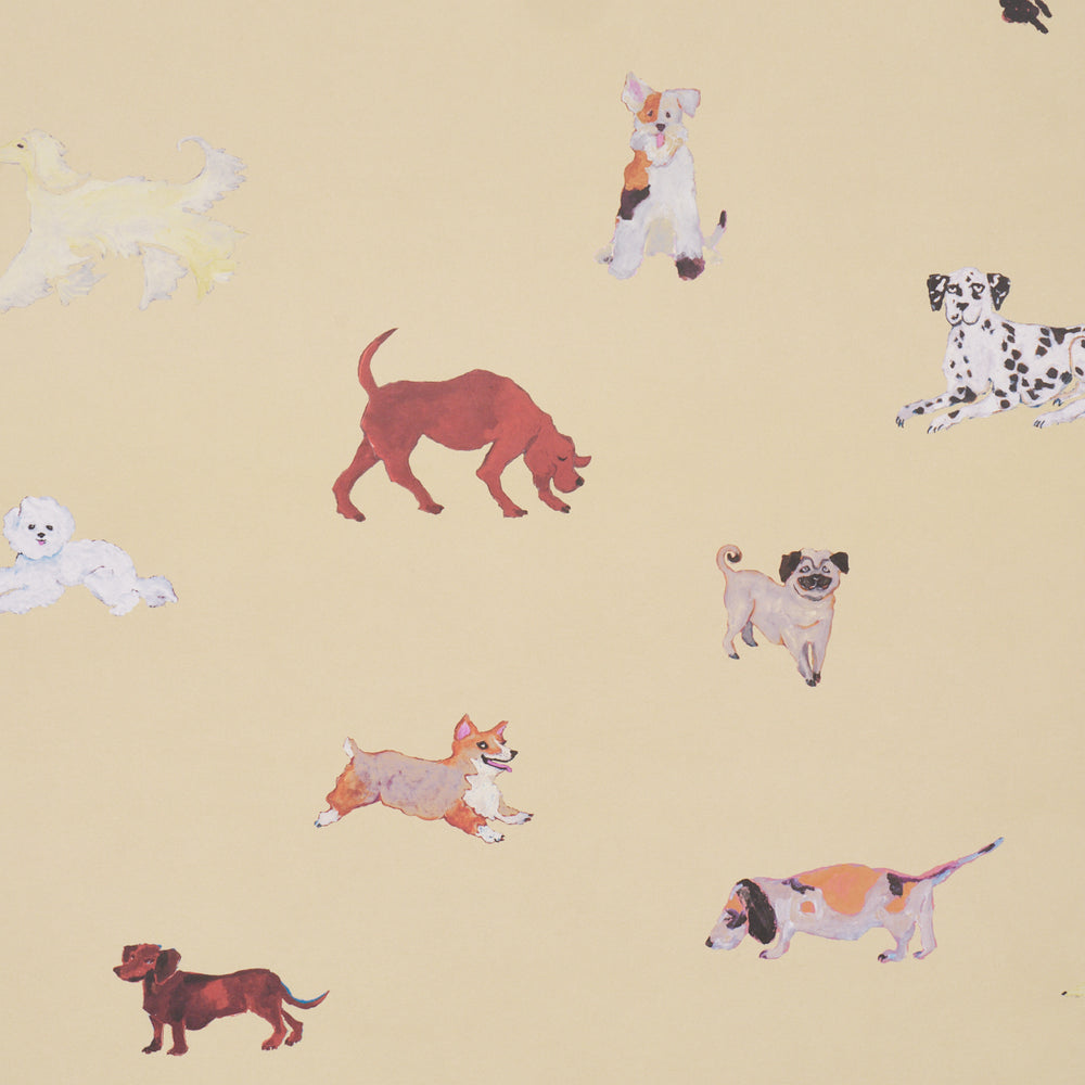 Dogs | Butter