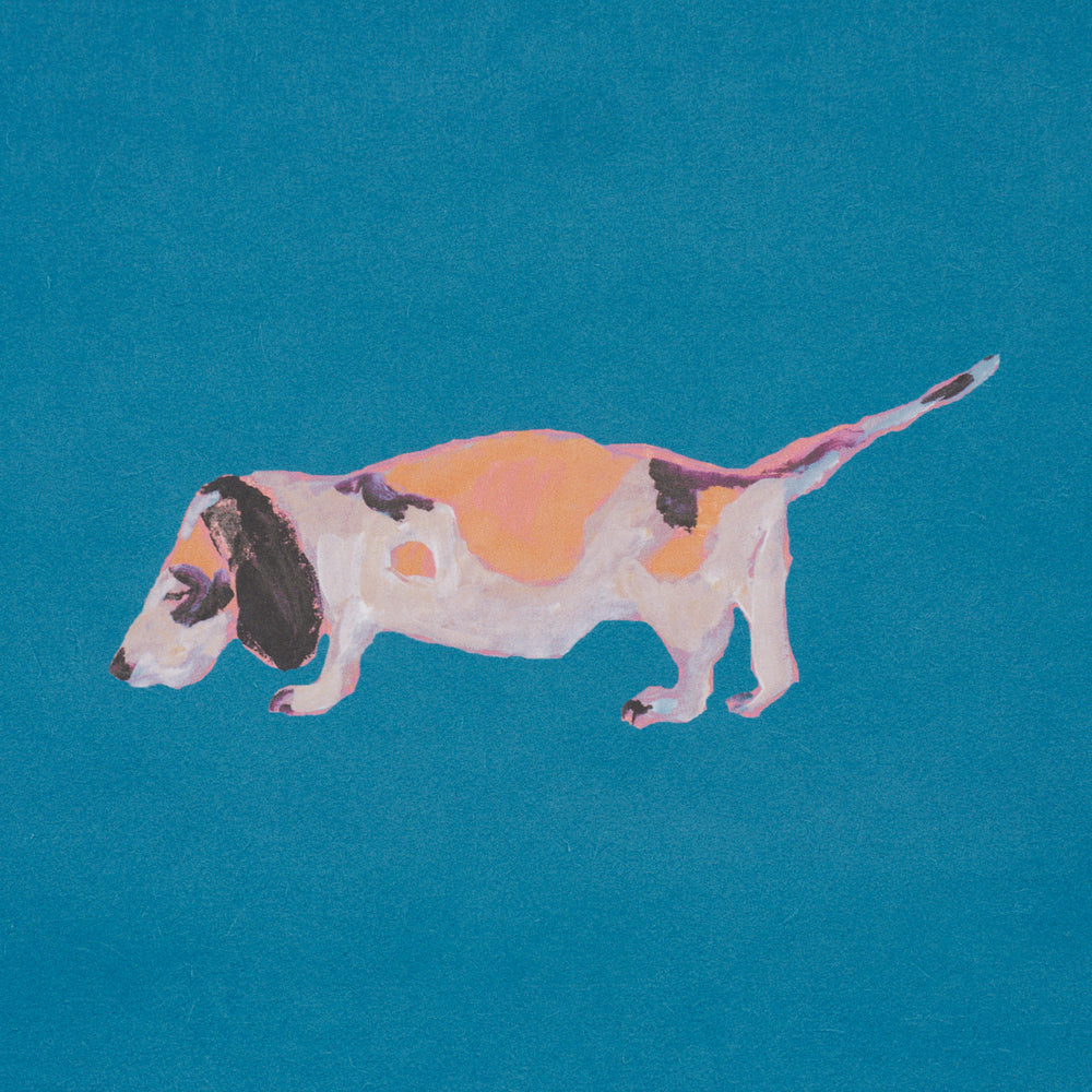 Dogs | Cerulean