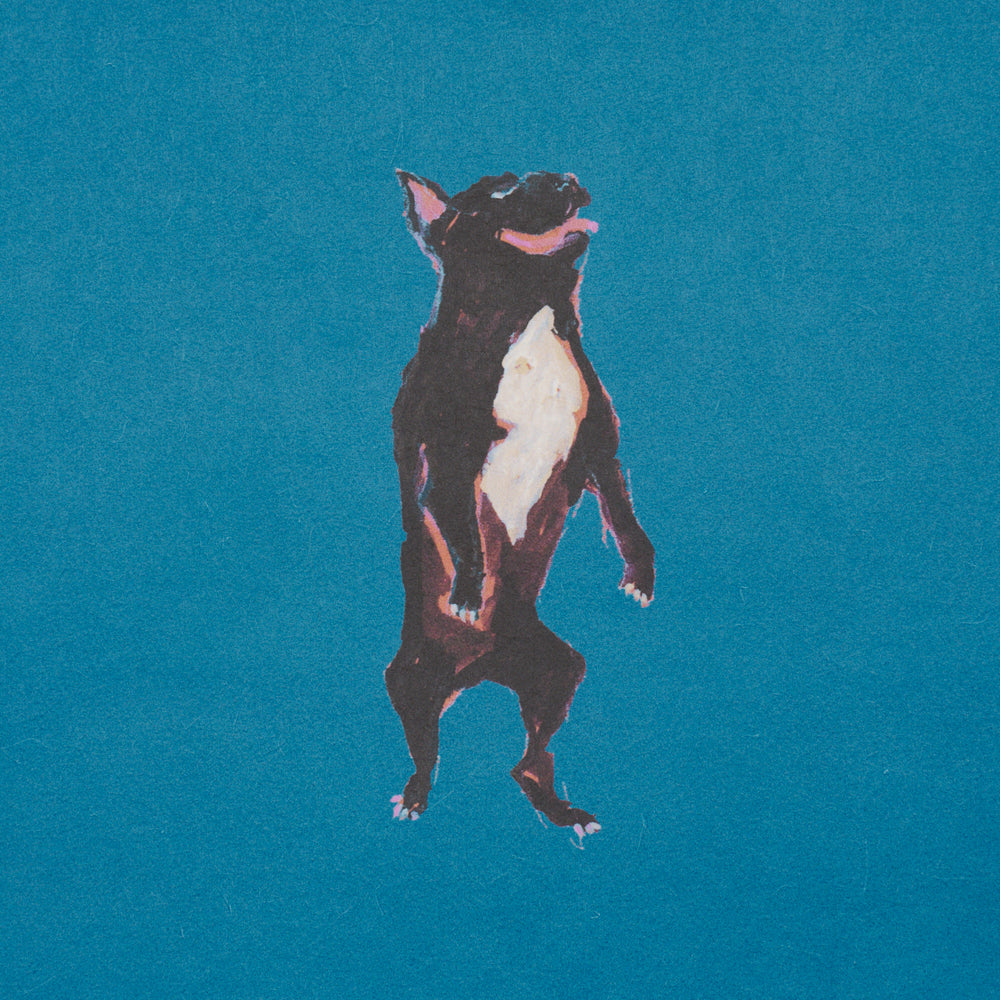 Dogs | Cerulean