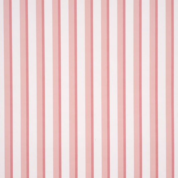 Rigsby Stripe | Pink