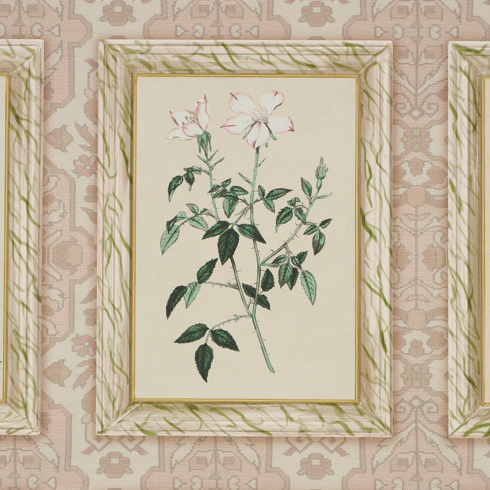 Garden's Trust | Blushed Oyster