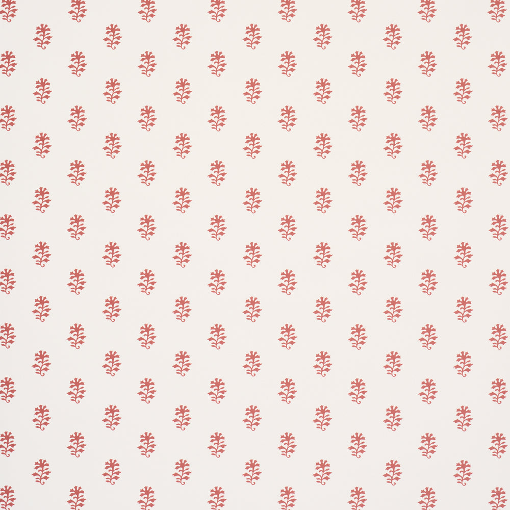 IKSHA | Cranberry