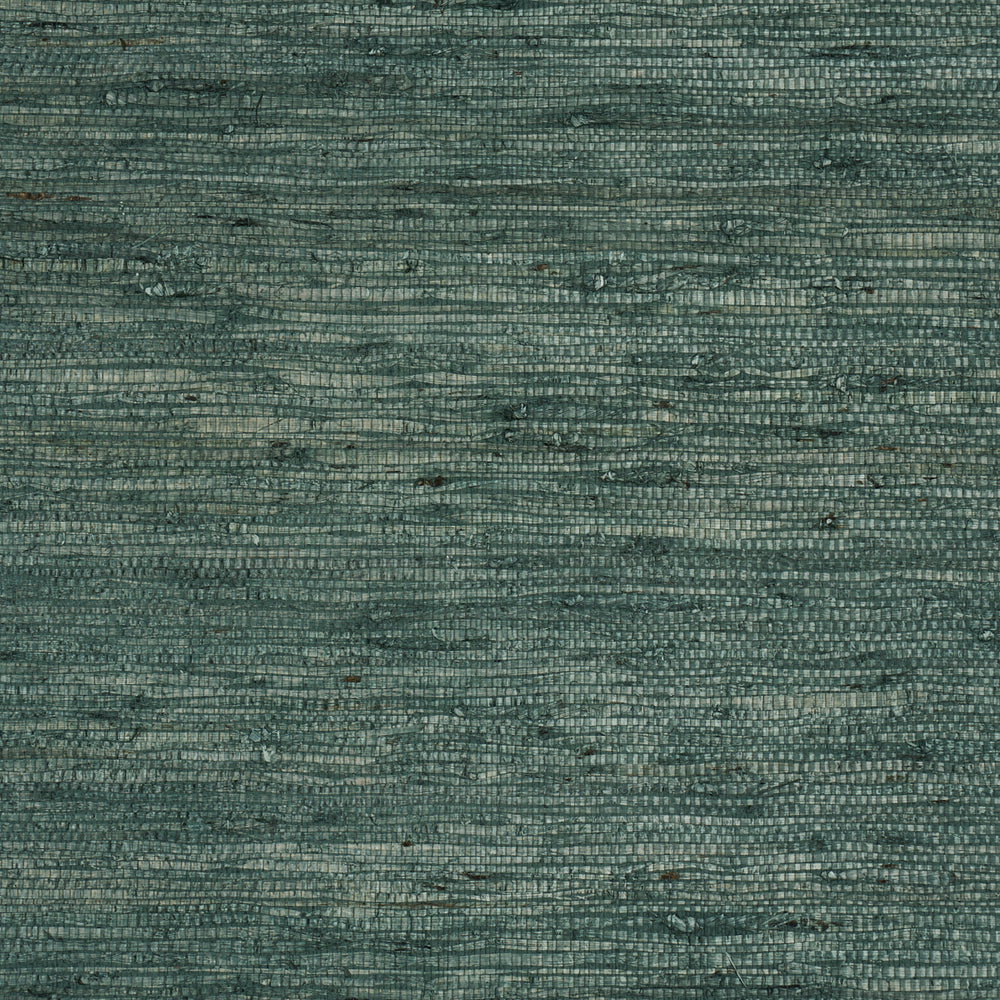 HAN ARROWROOT | Teal