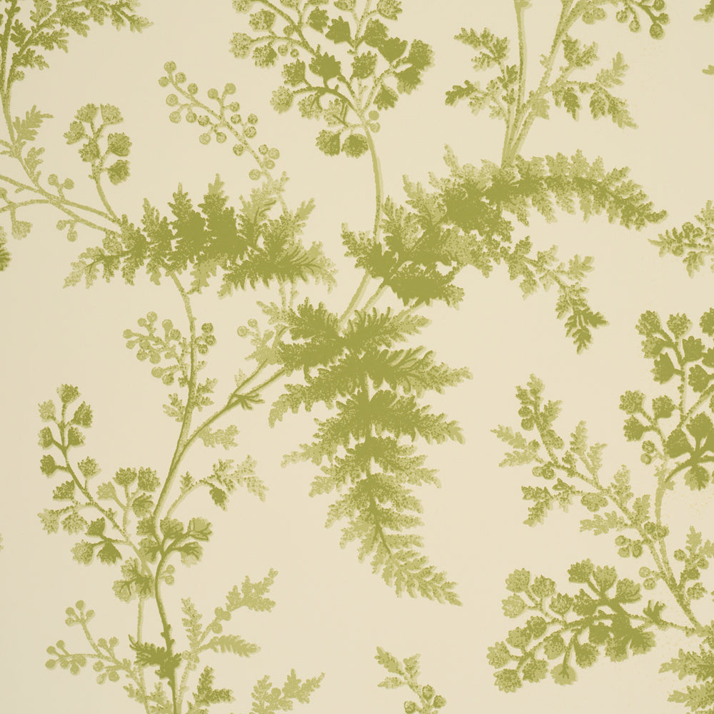 MAIDENHAIR | Leaf