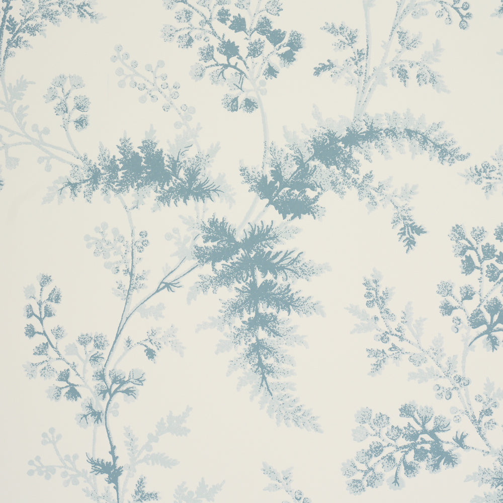 MAIDENHAIR | Blue