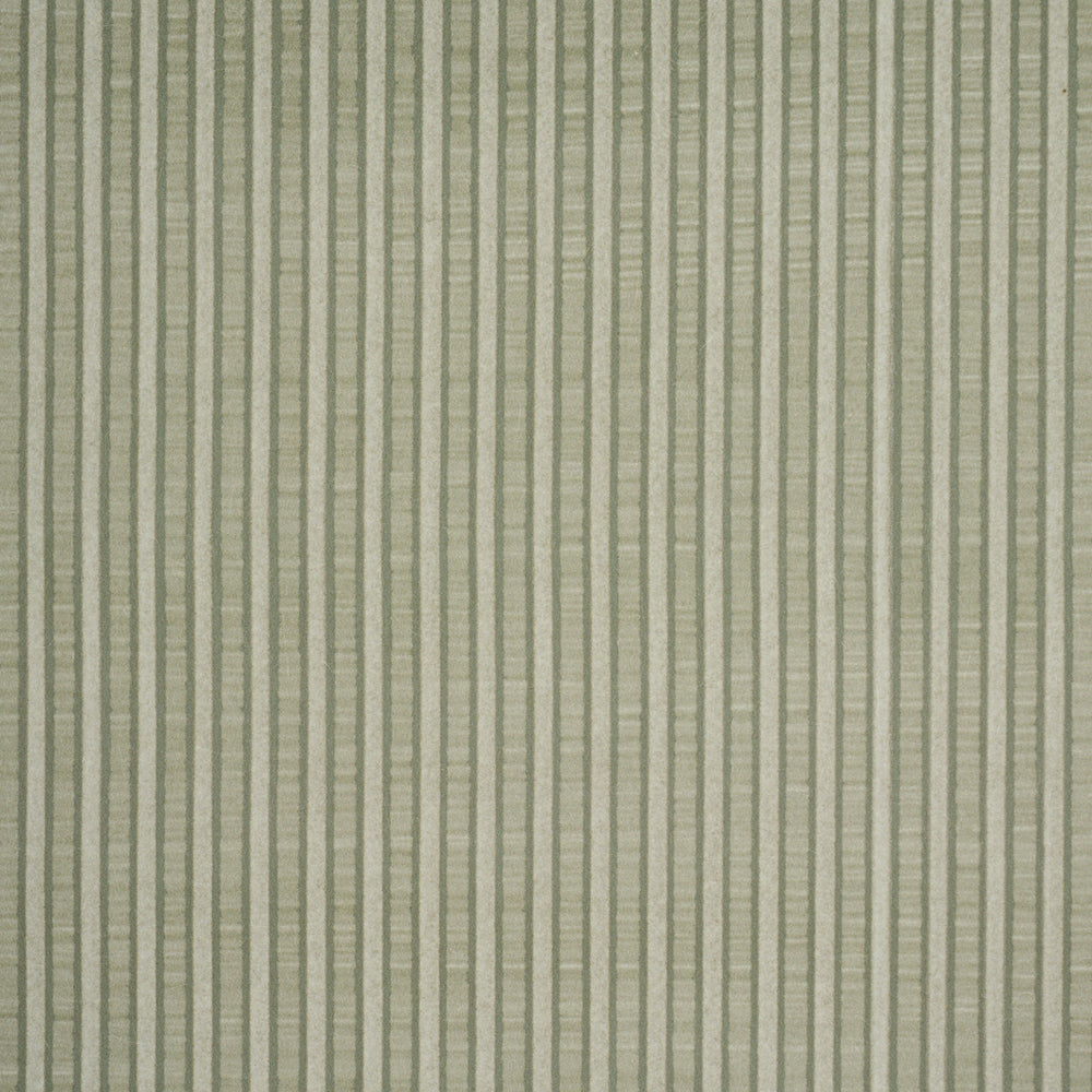 RIBBON STRIPE | Moss