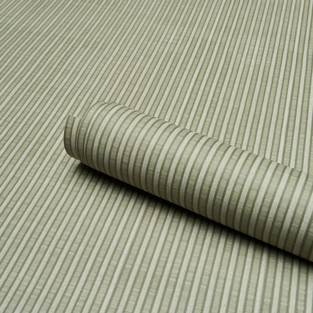 RIBBON STRIPE | Moss