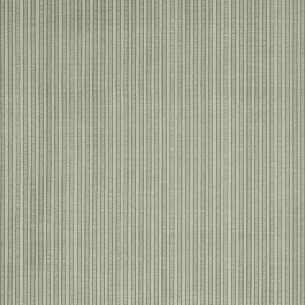 RIBBON STRIPE | Moss