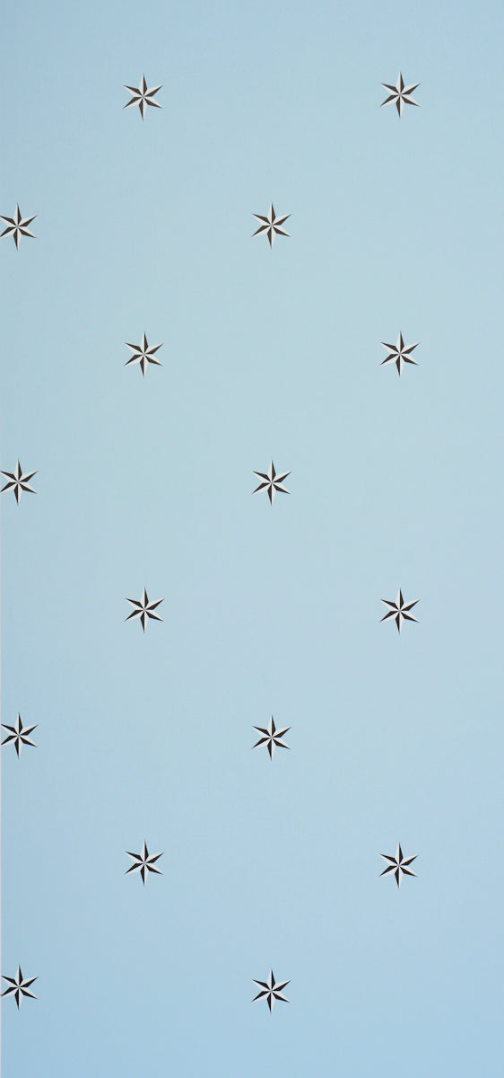 ELTHAM PINWHEEL | Sky