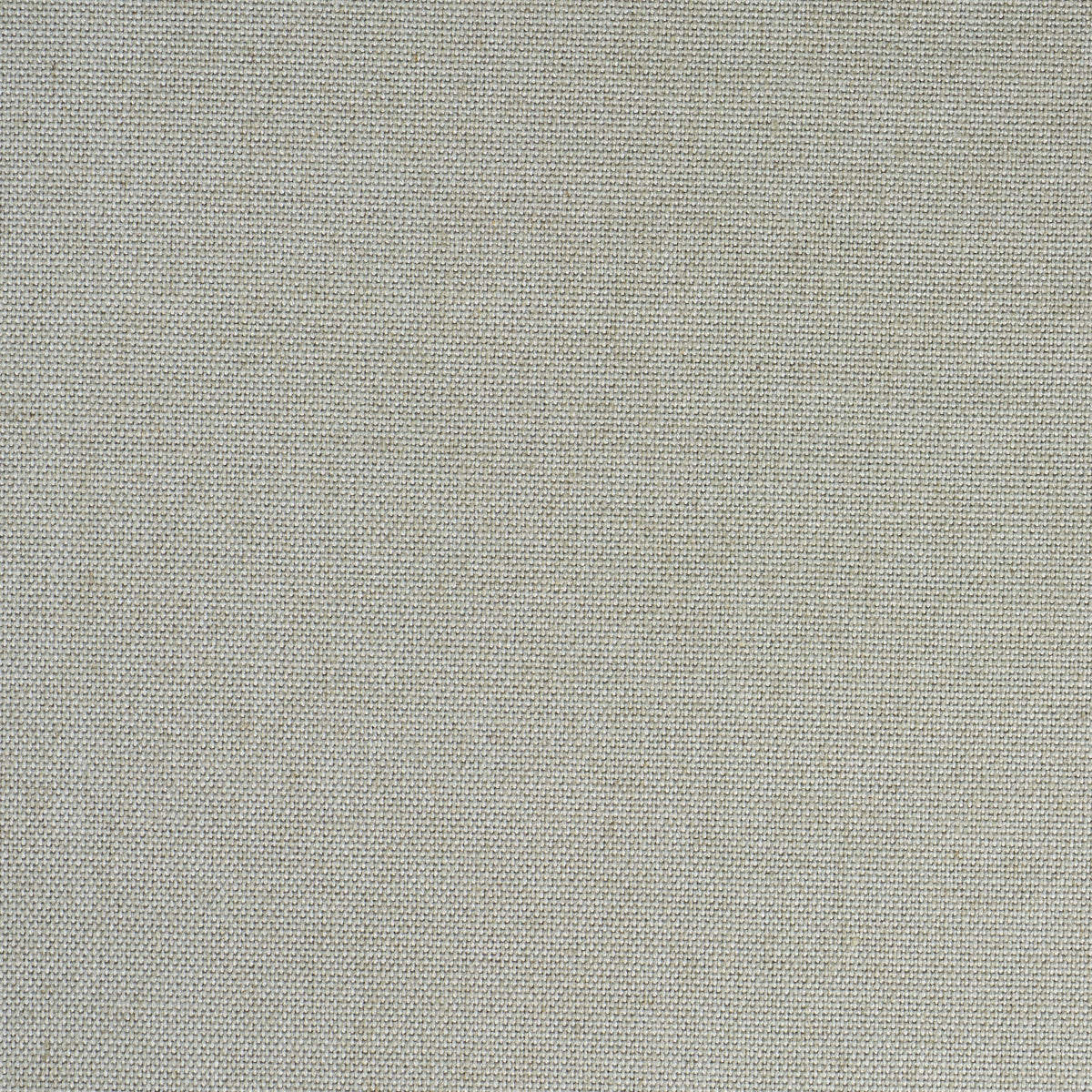 TESSUTO DELLA CORSICA | NEBBIA