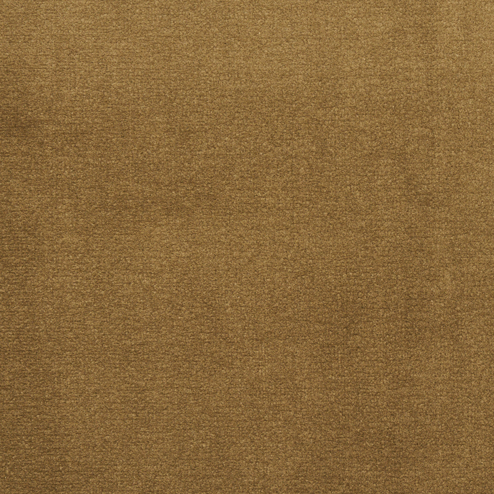 COTTON CLUB VELVET | Thyme