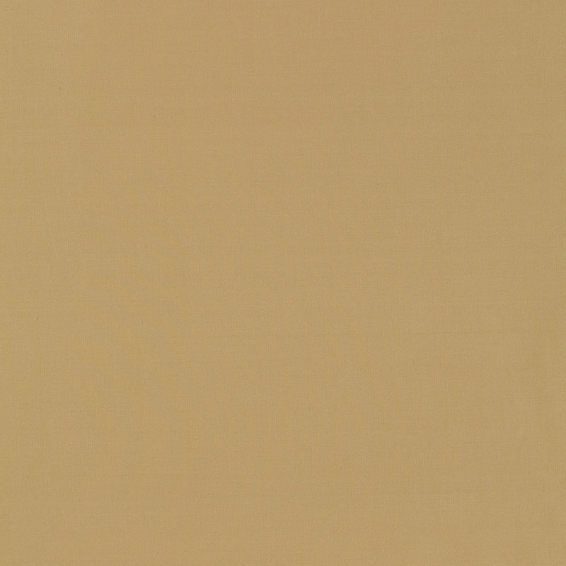MASACCIO TAFFETÀ | CAMOSCIO