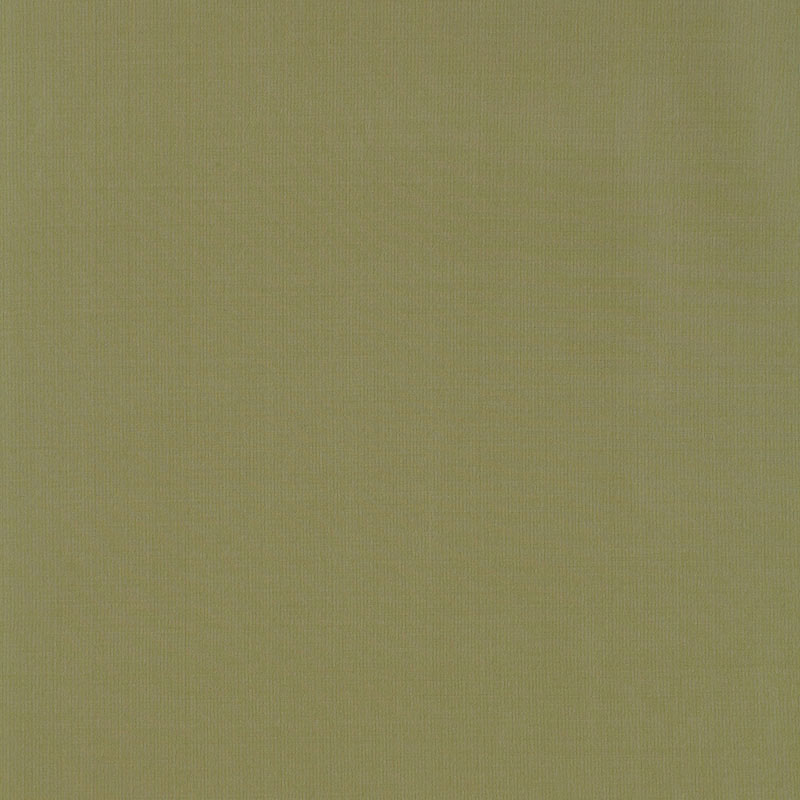 MASACCIO TAFFETÀ | ERBA