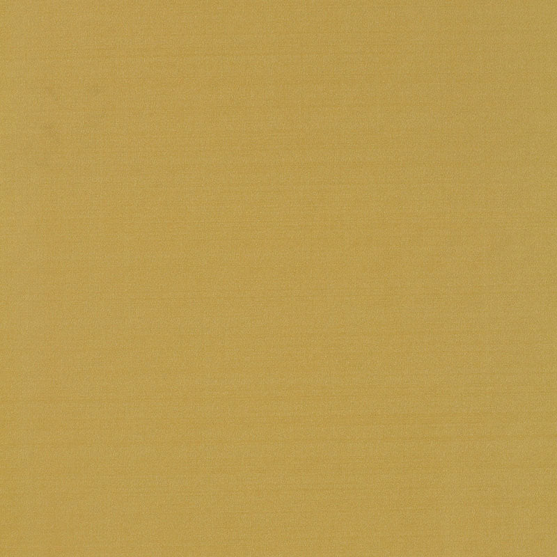 GIORDANO TAFFETÀ | DIGIONE