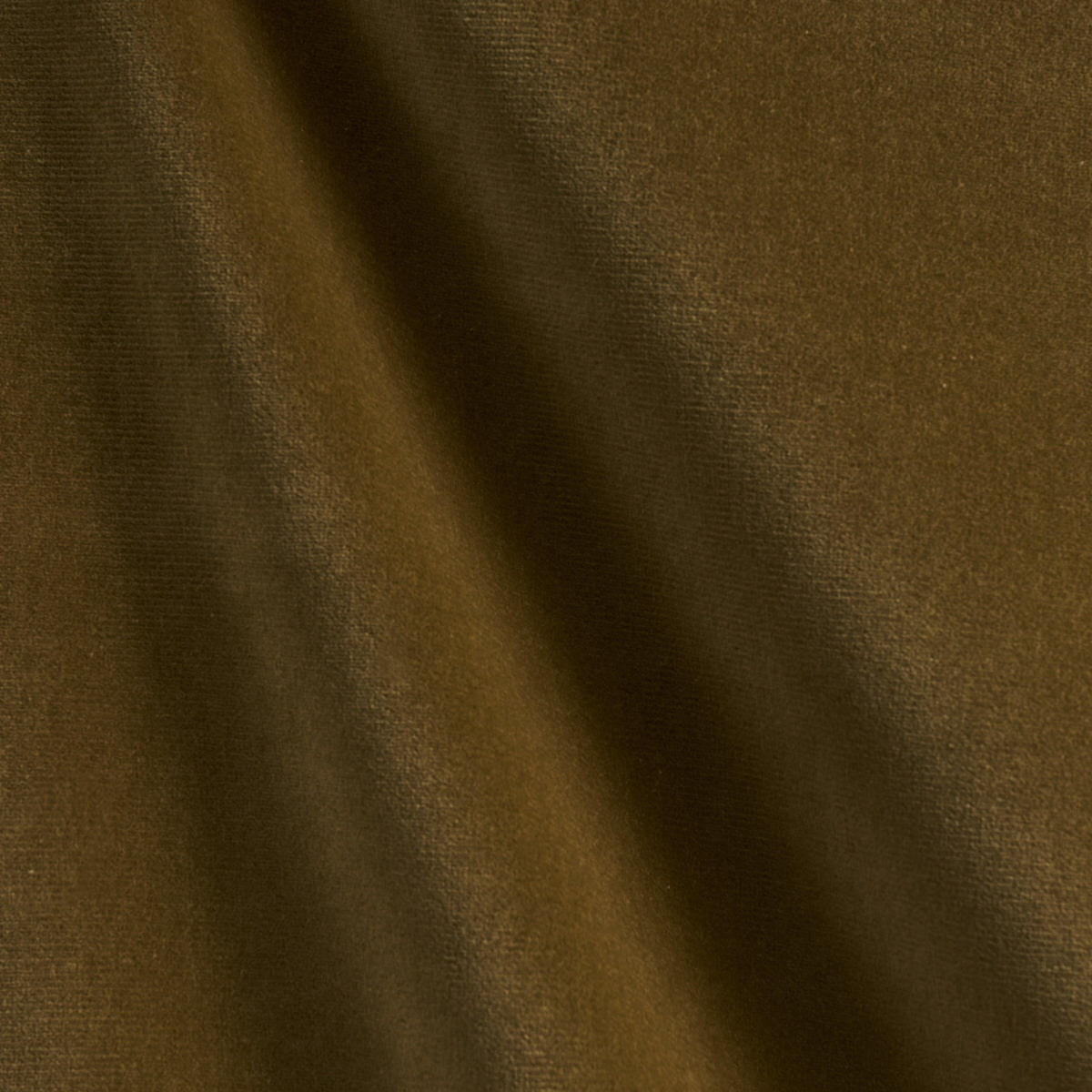 GAINSBOROUGH VELVET | Chanterelle