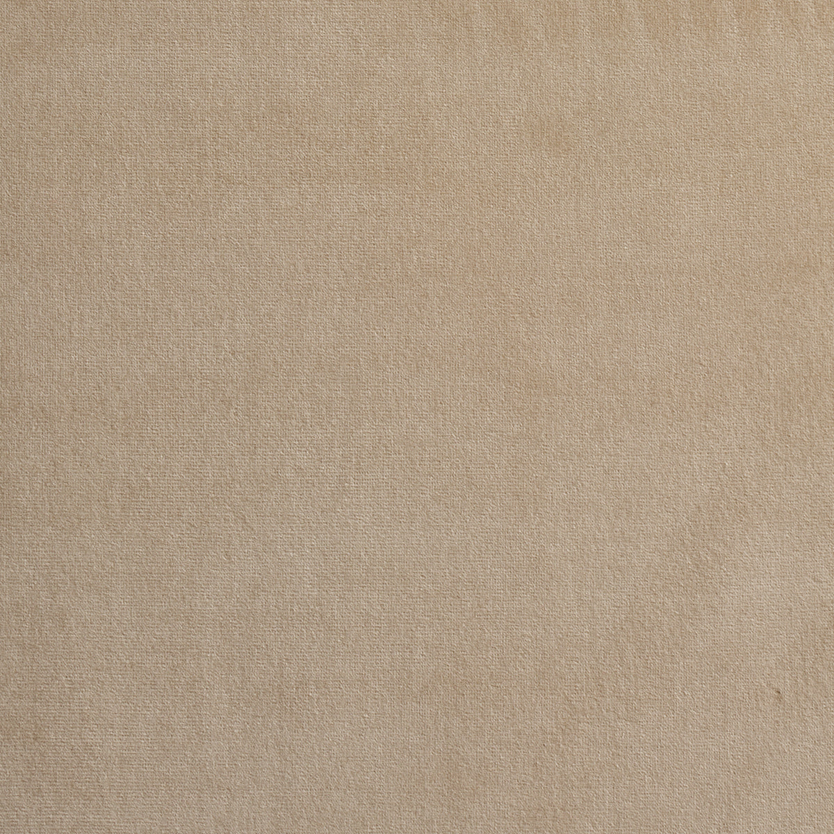 GAINSBOROUGH VELVET | Bisque