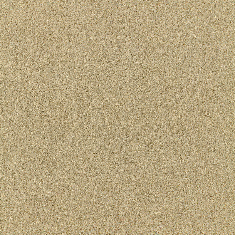 VELLUTO MOHAIR SAN CARLO | STUCCO
