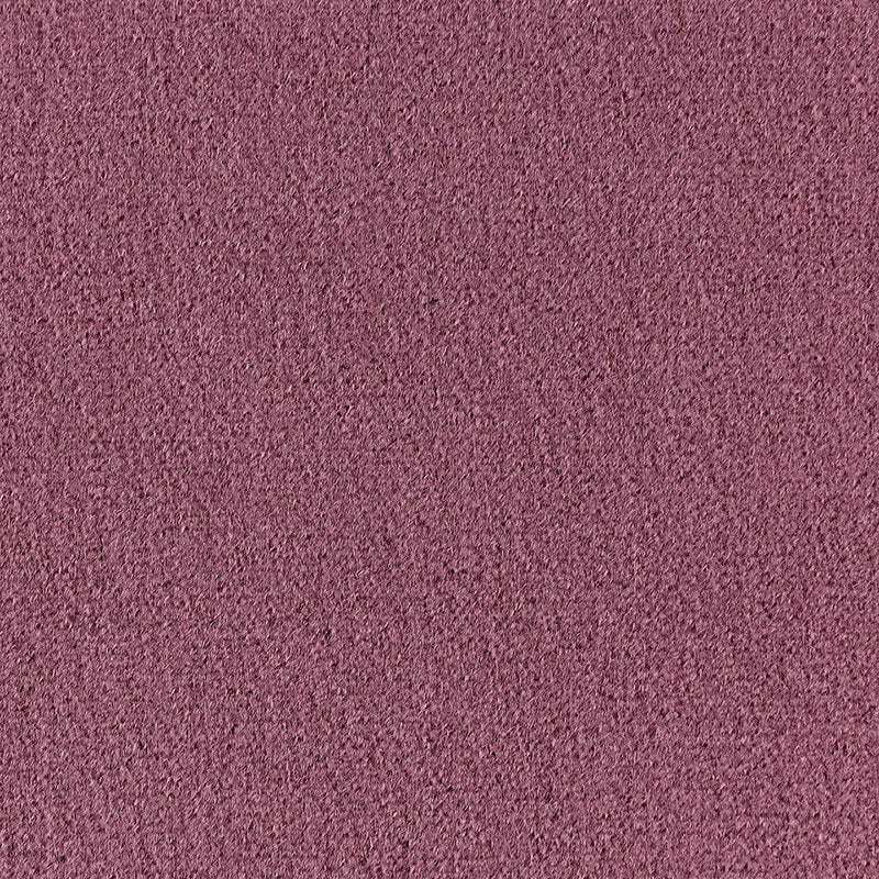 VELLUTO MOHAIR SAN CARLO | CARDO
