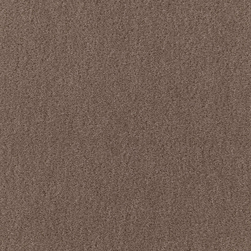 San Carlo Mohair Velvet | Driftwood