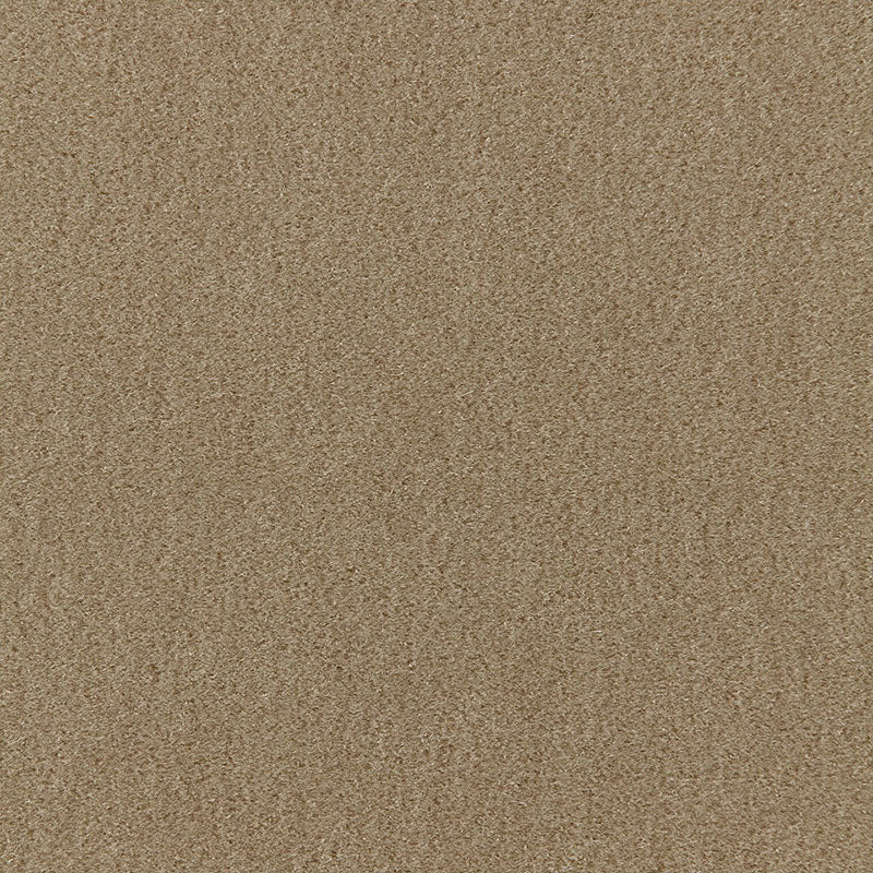 San Carlo Mohair Velvet | Sage