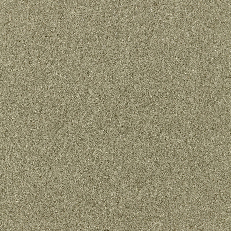 PALERMO MOHAIR VELVET | Lichen