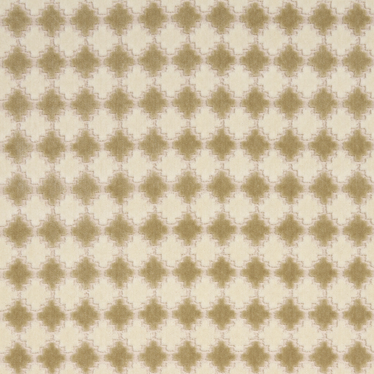 MARRAKESH VELVET | Champagne