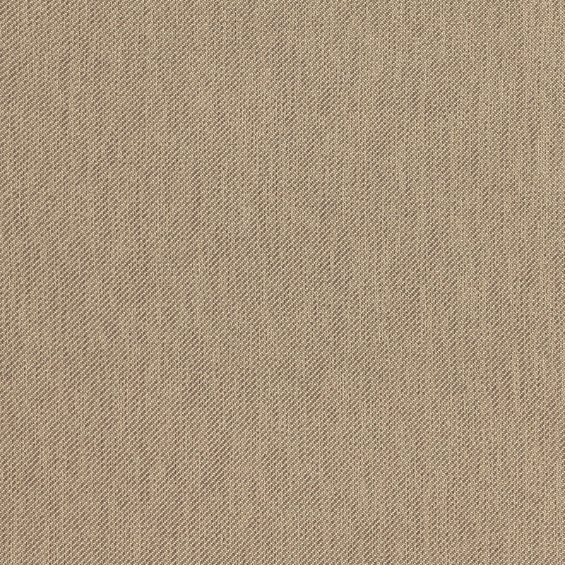 BROADWAY | Chanterelle