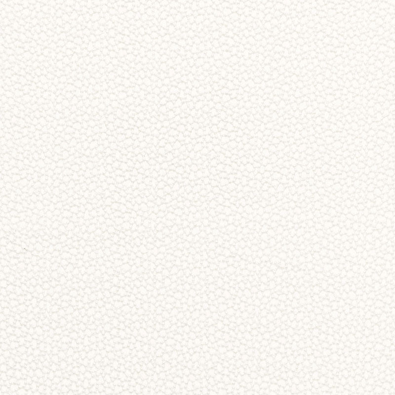 ROSSINI SHEER | Ivory