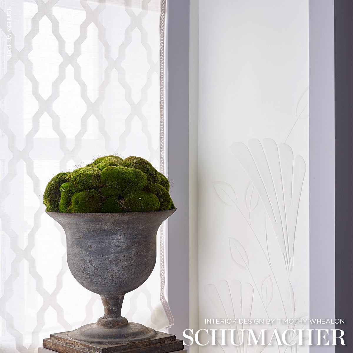 PUCCINI SHEER | Ivory