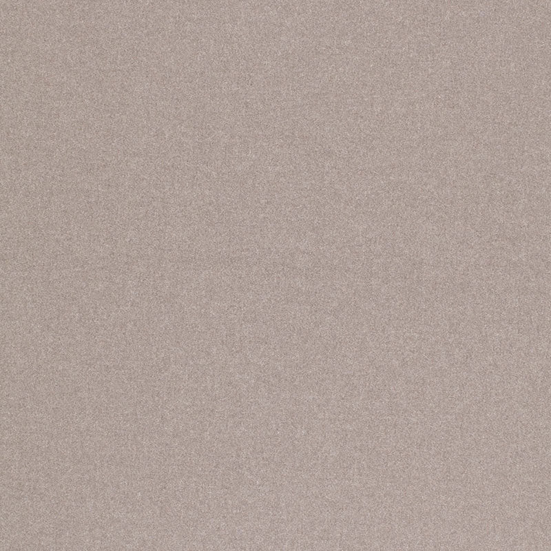 CHESTER WOOL | Dove