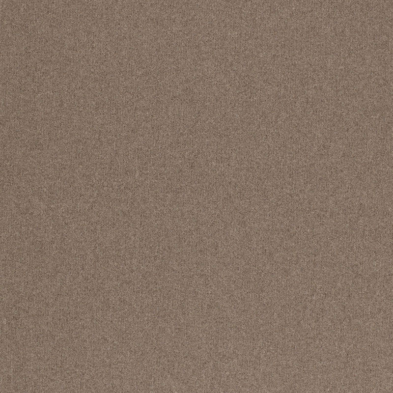 LANA CHESTER | GRAFITE