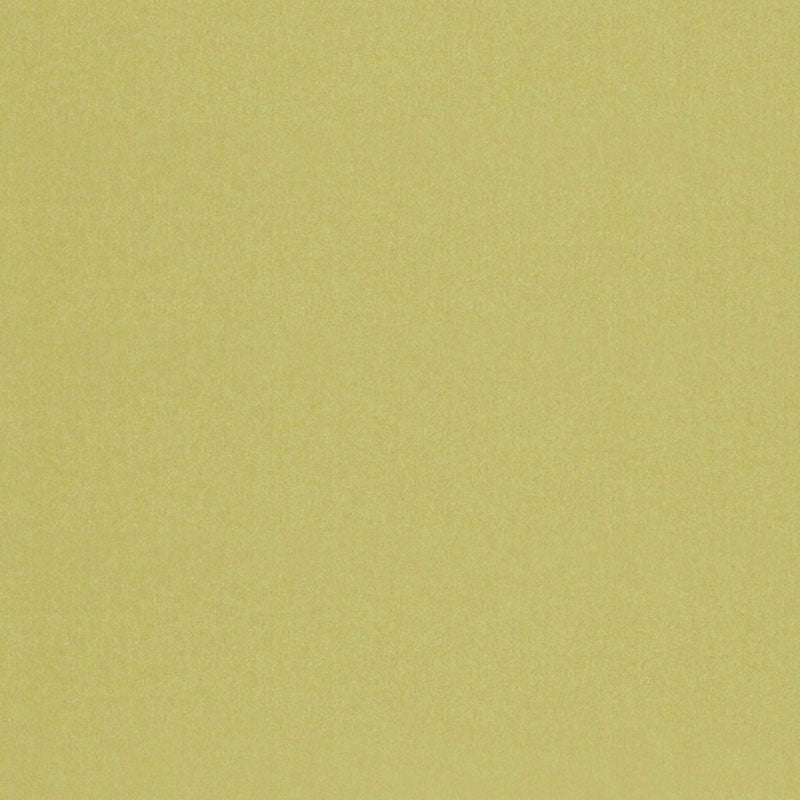 CHESTER WOOL - Pear