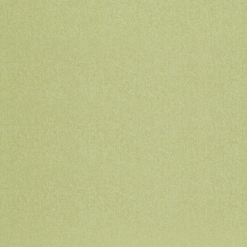CHESTER WOOL - Aloe