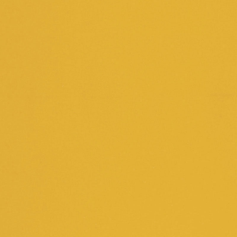 LANA CHESTER | GIUNCHIGLIA