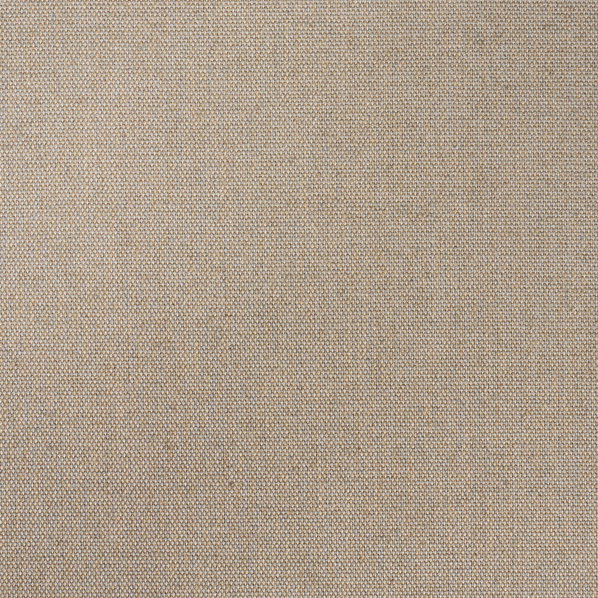 TESSUTO DELLA CORSICA | ZINCO