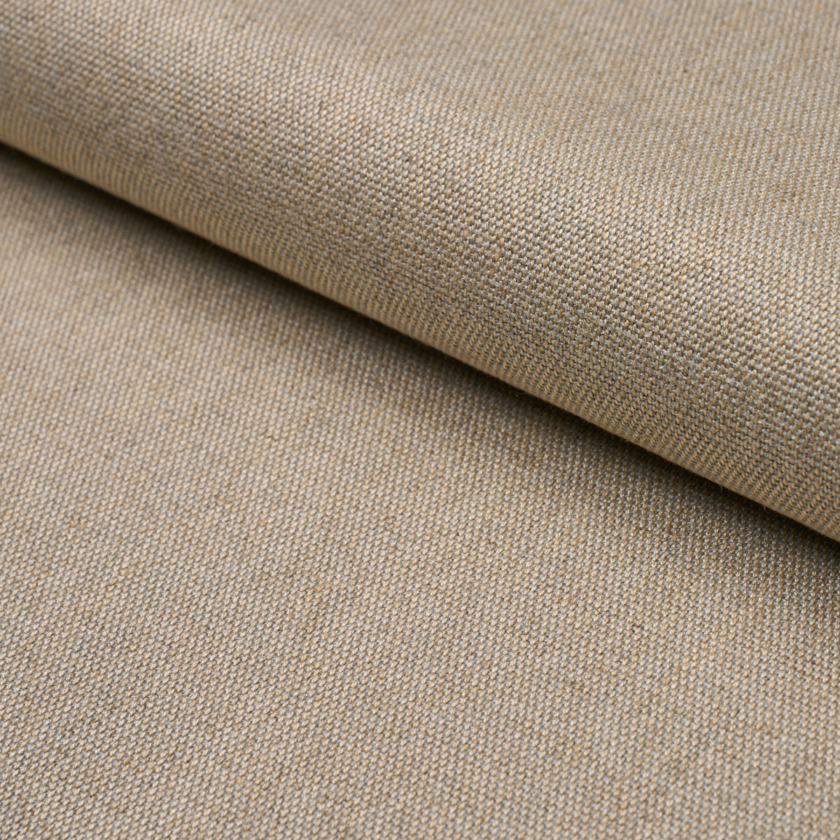 TESSUTO DELLA CORSICA | ZINCO