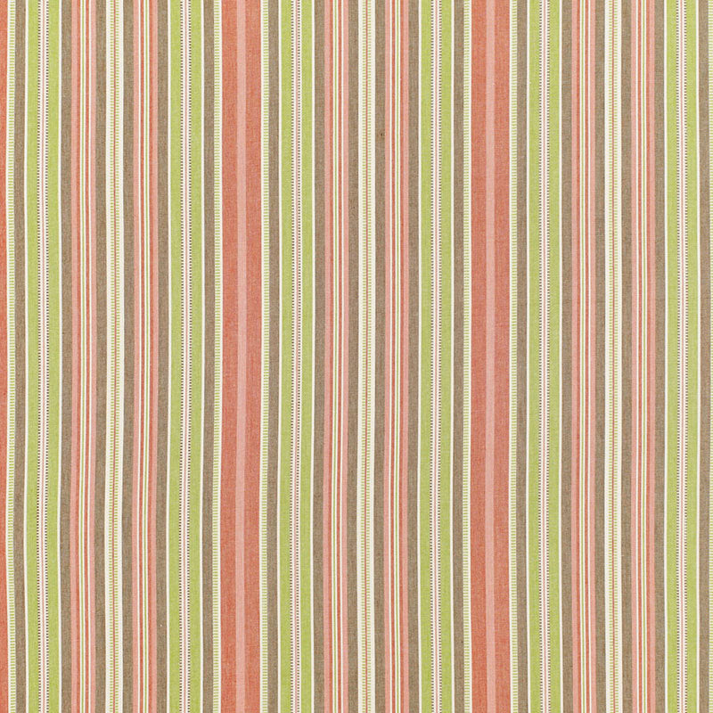 STRISCIA AVIGNONE | BACCA