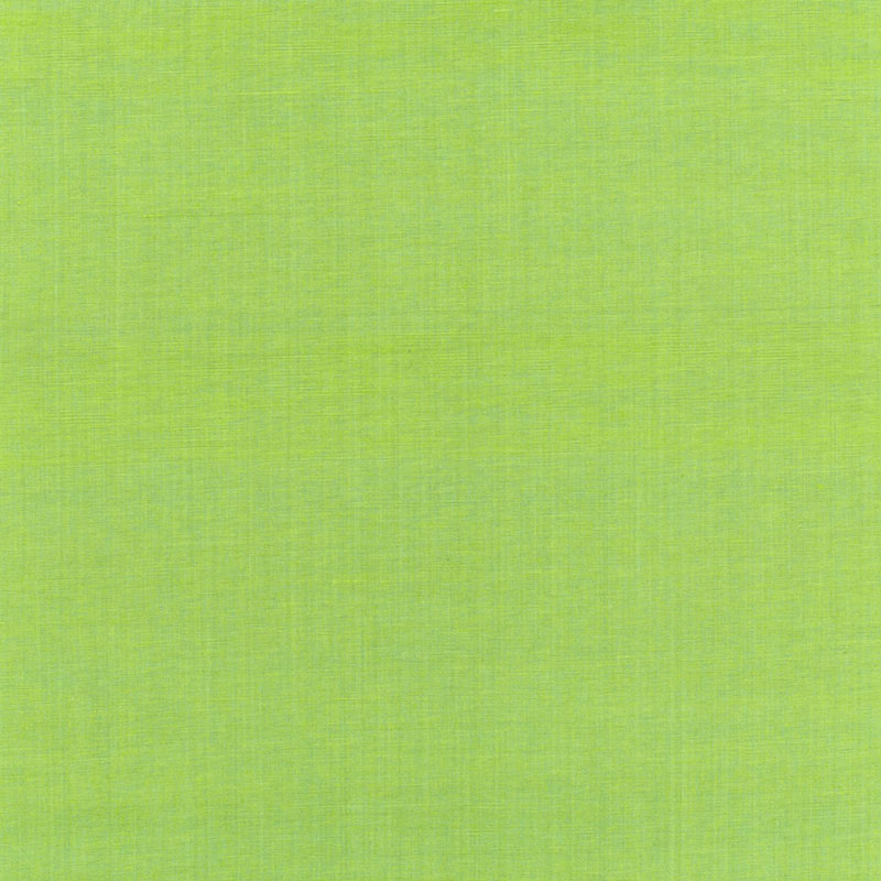 BECKFORD IN COTONE TINTA UNITA | KIWI