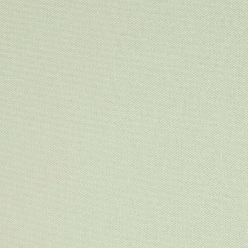 COTONE SPAZZOLATO ELLIOTT | CAMOSCIO