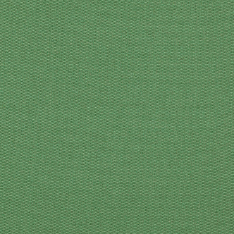 COTONE SPAZZOLATO ELLIOTT | PESTO