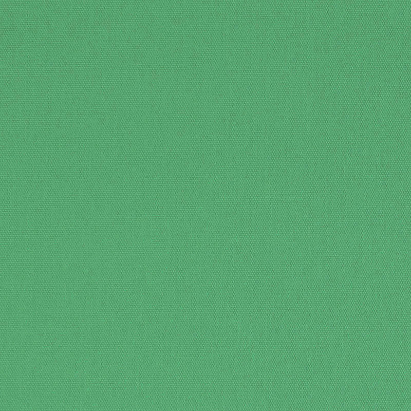 COTONE SPAZZOLATO ELLIOTT | FOGLIA