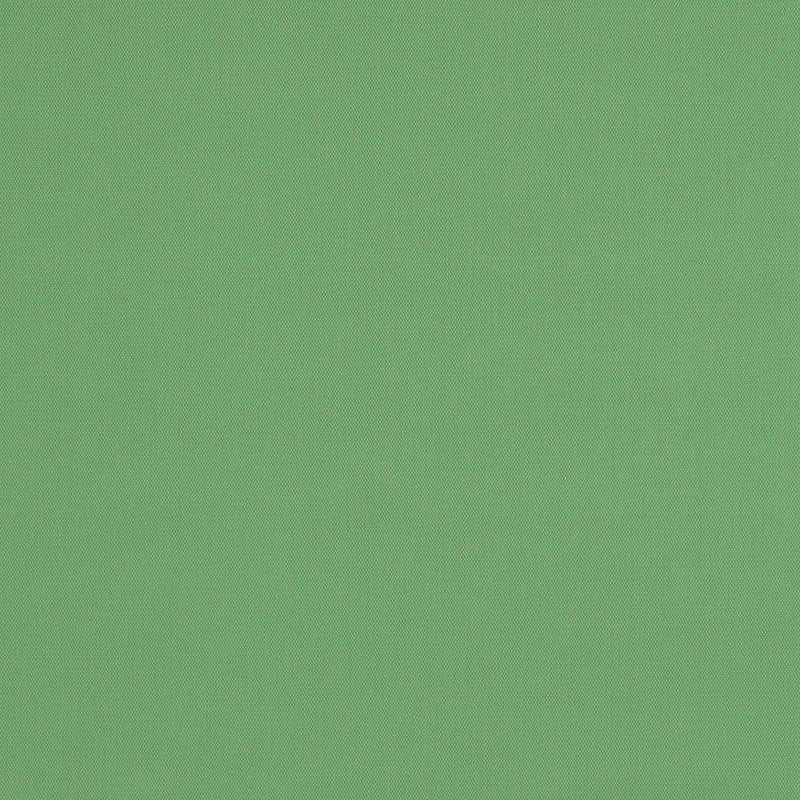 COTONE SPAZZOLATO ELLIOTT | BASILICO
