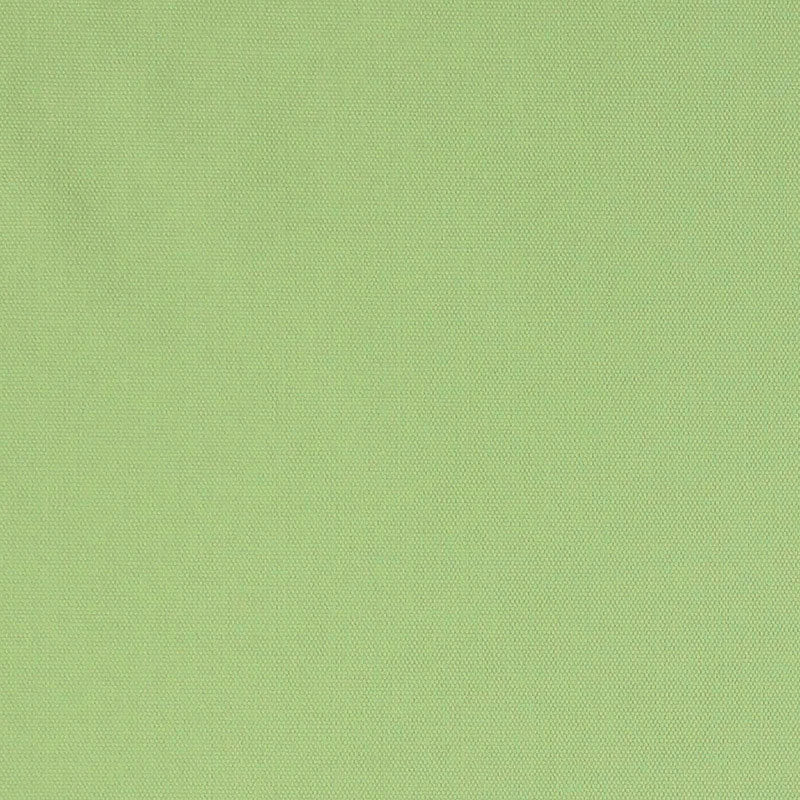 COTONE SPAZZOLATO ELLIOTT | LIME