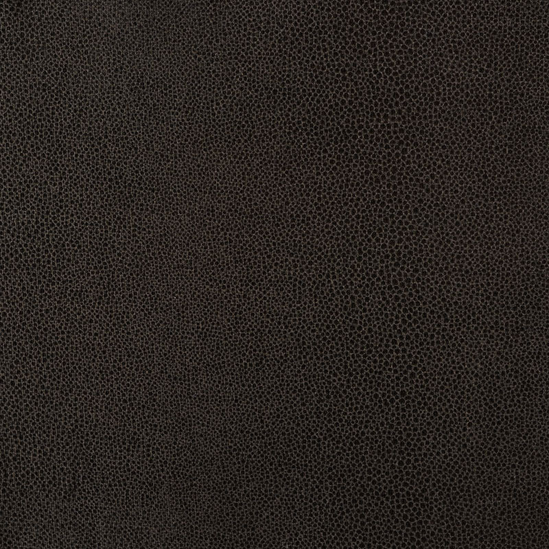 SHAGREEN LUCIDO | ABBAIO